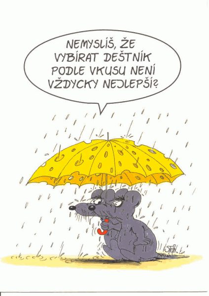 Nemyslíš